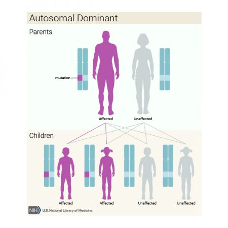 Autosomal Dominant – Genetic Clinics Australia